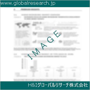 グローバルリサーチ調査資料のイメージ